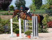DI PALO BOLERO CampITA2013- S5 0757 : BOLERO VAN'T STENENPOORT, Campionati Italiani 2013, Cattolica, DI PALO ANIELLO, Horse Riviera Resort, foto di Stefano Secchi ©